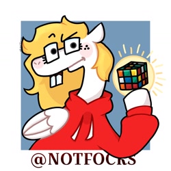 Size: 1440x1440 | Tagged: safe, artist:falloutfurret, derpibooru import, oc, oc only, oc:fox, pegasus, pony, bucktooth, clothes, hoodie, nerd, rubik's cube, simple background, text