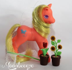 Size: 978x945 | Tagged: safe, derpibooru import, photographer:moonbreeze, earth pony, pony, g2, accessory, butterfly hunter, butterfly net, female, flower, irl, mare, net, photo, potted plant, raised hoof, raised leg, solo, sunflower, toy, tulip, watermark