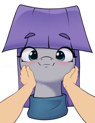 Size: 788x1013 | Tagged: safe, artist:aquaticvibes, edit, editor:undeadponysoldier, maud pie, earth pony, human, pony, :3, clothes, cute, daaaaaaaaaaaw, female, happy, mare, maudabetes, pov, smiling, touching face, when she smiles