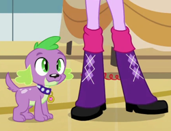 Size: 434x334 | Tagged: safe, derpibooru import, edit, edited screencap, screencap, spike, twilight sparkle, dog, human, equestria girls, g4, boots, boots shot, cropped, high heel boots, legs, pictures of legs, shoes