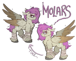 Size: 2500x2000 | Tagged: safe, artist:molars, derpibooru import, oc, oc only, oc:molars, pegasus, alternate universe, bandage, female, infection, infection au, leg wraps, mare, ponysona, simple background, spread wings, transparent background, unshorn fetlocks, wings