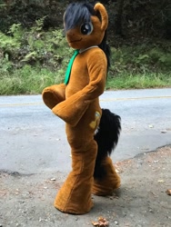 Size: 960x1280 | Tagged: safe, artist:atalonthedeer, derpibooru import, doctor whooves, earth pony, bipedal, fursuit, irl, necktie, photo, ponysuit, road