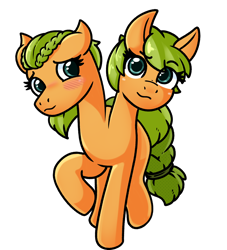 Size: 3000x3300 | Tagged: safe, derpibooru import, oc, oc only, pony, conjoined, conjoined twins, dreamworks face, female, mare, multiple heads, shy, simple background, transparent background, two heads