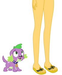 Size: 2319x2788 | Tagged: safe, anonymous artist, derpibooru import, spike, sunset shimmer, dog, human, equestria girls, g4, beautiful, beautisexy, cute, legs, pictures of legs, pretty, sexy, simple background, white background