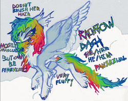 Size: 1590x1250 | Tagged: safe, artist:polluted-bat, derpibooru import, rainbow dash, pegasus, g4, alternate design, chest fluff, coat markings, colored hooves, colored wings, colored wingtips, ear fluff, ears, flying, gender headcanon, headcanon, looking back, messy mane, messy tail, pale belly, redesign, sexuality headcanon, socks (coat marking), solo, spread wings, tail, unshorn fetlocks, wings