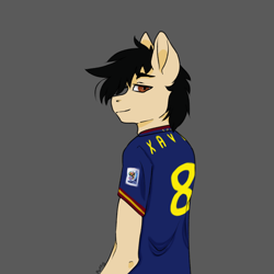 Size: 1000x1000 | Tagged: safe, artist:puffluna8, derpibooru import, oc, oc:afrito, clothes, españa, fifa world cup, football, futbol, south africa 2010, spain, sports, xavi