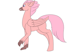 Size: 1600x1200 | Tagged: safe, artist:saint boniface, derpibooru import, oc, hippogriff, blue eyes, hippogriff oc, navy eyes, pink, pink feathers, solo