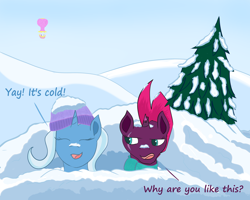 Size: 3612x2894 | Tagged: safe, artist:fizzban08, derpibooru import, tempest shadow, trixie, snow