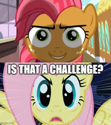 Size: 500x562 | Tagged: safe, derpibooru import, edit, edited screencap, screencap, babs seed, fluttershy, pegasus, pony, g4, one bad apple, stare master, caption, imgflip, stare, text, the stare