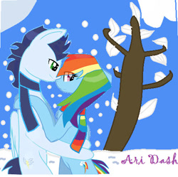 Size: 459x458 | Tagged: safe, artist:trendari, derpibooru import, rainbow dash, soarin', pegasus, pony, clothes, female, male, mare, rainbow scarf, scarf, shipping, snow, soarindash, stallion, straight, striped scarf, tree, winter