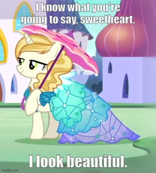 Size: 500x556 | Tagged: safe, derpibooru import, edit, edited screencap, screencap, sweet biscuit, canterlot boutique, beautiful, caption, clothes, cropped, dress, image macro, imgflip, lidded eyes, princess dress, solo, talking to viewer, text, umbrella