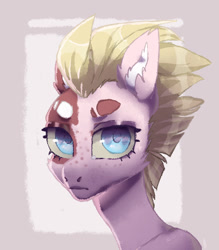 Size: 557x635 | Tagged: safe, artist:ipoloarts, derpibooru import, oc, oc only, pony, bust, digital art, old art, portrait, solo