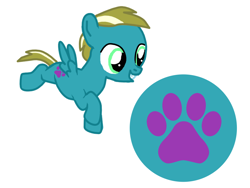 Size: 800x600 | Tagged: safe, artist:princessstar022, derpibooru import, oc, oc only, oc:paw print, pegasus, pony, g4, base used, colt, foal, male, offspring, parent:shady daze, parent:zippoorwhill, simple background, solo, white background