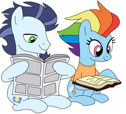 Size: 796x720 | Tagged: safe, artist:dasher666, derpibooru import, rainbow dash, soarin', pegasus, pony, g4, the last problem, book, female, journal, male, mare, older, older rainbow dash, older soarin', older soarindash, reading, shipping, soarindash, stallion, straight