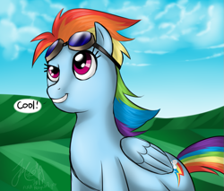 Size: 903x768 | Tagged: safe, artist:cat-cly, derpibooru import, rainbow dash, pegasus, g4, goggles, goggles on head, solo