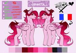 Size: 1071x746 | Tagged: safe, artist:dejji_vuu, derpibooru import, oc, oc only, oc:janette, pegasus, pony, chest fluff, colored wings, colored wingtips, ear fluff, ear piercing, earring, ears, eyeshadow, female, folded wings, french flag, gradient mane, gradient tail, implied smoking, jewelry, lipstick, makeup, mare, piercing, ponytail, reference sheet, shoulder fluff, solo, standing, tail, two toned wings, wings