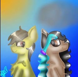 Size: 651x640 | Tagged: safe, artist:harmonyqueenrainbow, derpibooru import, oc, oc:thunder (fl), earth pony, pegasus, pony, duo, looking at each other, looking at someone, signature, sunlight, unnamed character, waist up