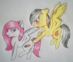 Size: 489x413 | Tagged: artist needed, safe, derpibooru import, oc, oc:kira (fl), oc:thunder (fl), pegasus, pony, blushing, duo, ears, excited, floppy ears, looking at butt, smiling, traditional art