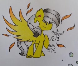 Size: 612x516 | Tagged: safe, artist:cherry.317, derpibooru import, oc, oc:thunder (fl), pegasus, pony, feather, heart ears, male, signature, solo