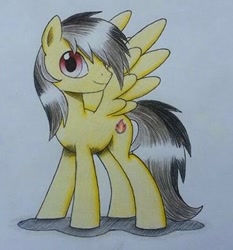 Size: 335x359 | Tagged: safe, artist:mrbojorquez7, derpibooru import, oc, oc:thunder (fl), pegasus, pony, male, show accurate, simple background, solo, traditional art