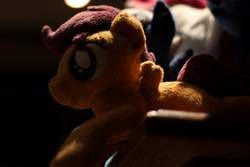 Size: 6000x4000 | Tagged: safe, artist:psychoshy_bc1q, scootaloo, pegasus, bokeh, photo, plushie