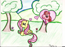 Size: 827x602 | Tagged: safe, artist:aynstainxpenelope, derpibooru import, big macintosh, fluttershy, earth pony, pegasus, pony, female, flower, fluttermac, heart, male, mare, shipping, stallion, straight, traditional art, tree