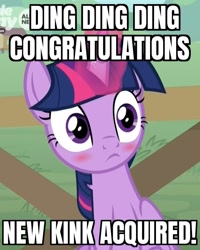 Size: 822x1029 | Tagged: safe, derpibooru import, edit, edited screencap, screencap, twilight sparkle, twilight sparkle (alicorn), alicorn, pony, g4, the point of no return, blushing, blushlight sparkle, caption, cropped, cute, embarrassed, female, frown, glowing, glowing horn, horn, image macro, mare, reaction image, sitting, text, twiabetes, wide eyes