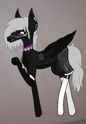 Size: 304x436 | Tagged: safe, artist:princessafiramlp, derpibooru import, oc, oc only, oc:onyxstar (fl), pegasus, pony, choker, raised hoof, raised leg, simple background, solo, spiked choker