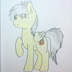 Size: 640x639 | Tagged: safe, artist:flutter paws, derpibooru import, oc, oc:thunder (fl), pegasus, pony, looking up, raised hoof, raised leg, shy, smiling, solo, traditional art