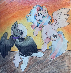 Size: 750x778 | Tagged: safe, artist:flutter paws, derpibooru import, oc, oc:flutters, oc:onyxstar (fl), pegasus, pony, choker, clothes, flying, jewelry, looking at each other, looking at someone, necklace, socks, spiked choker, sunset, thigh highs