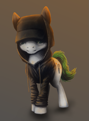 Size: 379x518 | Tagged: safe, artist:finnfox66, derpibooru exclusive, derpibooru import, oc, oc:lo-fi, earth pony, black hoodie, cap, clothes, full body, green tail, hat, hoodie, simple background, tail, white coat