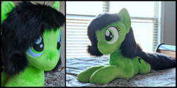 Size: 1264x632 | Tagged: safe, oc, oc:anon filly, photo, plushie