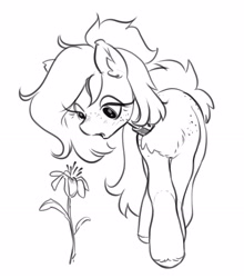 Size: 2234x2541 | Tagged: safe, artist:opalacorn, derpibooru import, oc, oc only, earth pony, pony, black and white, chest fluff, choker, female, flower, freckles, grayscale, looking at something, mare, monochrome, simple background, solo, white background