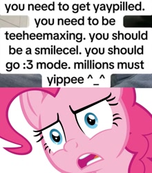 Size: 1063x1206 | Tagged: safe, derpibooru import, edit, edited screencap, screencap, pinkie pie, meme, text