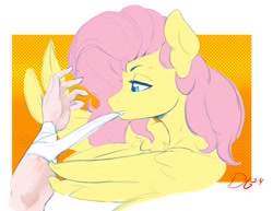 Size: 2472x1905 | Tagged: safe, artist:thelunarmoon, derpibooru import, fluttershy, human, pegasus, pony, bandage, colored sketch, disembodied hand, female, hand, mare, mouth hold, offscreen character, sketch, solo focus