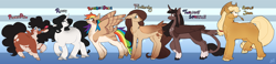 Size: 4018x928 | Tagged: safe, alternate version, artist:greenarsonist, derpibooru import, applejack, fluttershy, pinkie pie, rainbow dash, rarity, twilight sparkle, twilight sparkle (alicorn), alicorn, earth pony, pegasus, pony, unicorn, alternate design, chubby, fat, female, folded wings, headcanon, horn, mane six, muscles, muscular female, natural eye color, natural hair color, nonbinary, skinny, spread wings, straw in mouth, thin, tooth, trans female, transgender, unshorn fetlocks, wings