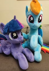 Size: 1084x1561 | Tagged: safe, artist:littlefairyswonders, derpibooru import, rainbow dash, twilight sparkle, twilight sparkle (alicorn), alicorn, pony, g4, irl, lying down, photo, plushie, prone