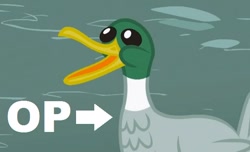 Size: 562x341 | Tagged: safe, edit, edited screencap, screencap, bird, duck, g4, may the best pet win, op, op is a cuck, op is a duck reaction image, reaction image, solo