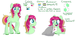 Size: 3000x1500 | Tagged: safe, artist:lindasaurie, derpibooru import, oc, oc only, oc:strawi dinosaur, earth pony, pony, shark, agender, agender pride flag, aroace pride flag, bust, chest fluff, eye clipping through hair, eyebrows, eyebrows visible through hair, full body, lineless, looking at you, open mouth, ponysona, pride, pride flag, raised hoof, raised leg, reference sheet, side view, simple background, smiling, solo, transparent background, unshorn fetlocks