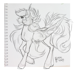 Size: 1498x1392 | Tagged: safe, artist:raychelrage, derpibooru import, oc, oc:rachel rage, pegasus, pony, sketch, solo