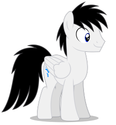 Size: 4664x5017 | Tagged: safe, artist:creedyboy124, derpibooru import, oc, oc only, oc:shane park, pegasus, male, pegasus oc, simple background, stallion, transparent background