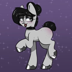 Size: 1000x1000 | Tagged: safe, artist:xxgirlscoutcookiexx, oc, oc only, oc:mimic, pony, female, mare