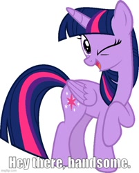 Size: 500x621 | Tagged: safe, artist:slb94, derpibooru import, twilight sparkle, twilight sparkle (alicorn), alicorn, caption, flirting, image macro, imgflip, looking at you, one eye closed, talking to viewer, text, wink, winking at you