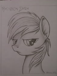 Size: 2448x3264 | Tagged: safe, artist:robin jacks, derpibooru import, rainbow dash, pony, bust, monochrome, traditional art