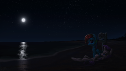 Size: 3840x2160 | Tagged: safe, artist:robin jacks, derpibooru import, rainbow dash, rarity, oc, oc:gyro, fanfic art, night, reflection, stars, water