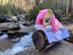 Size: 4032x3024 | Tagged: safe, artist:qtpony, derpibooru import, fluttershy, pony, clothes, forest, irl, lying down, nature, photo, plushie, prone, river, socks, solo, tree, water