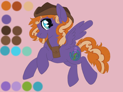 Size: 2000x1500 | Tagged: safe, artist:annuthecatgirl, derpibooru import, oc, oc only, pegasus, concept art, hat, reference sheet, satchel