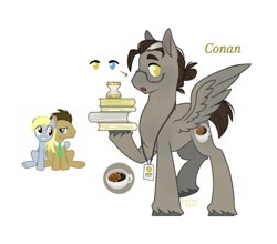 Size: 1095x962 | Tagged: safe, artist:anemonaii, derpibooru import, oc, oc only, oc:conan, pegasus, pony, g4, brown mane, brown tail, colored eyebrows, colored hooves, colored pinnae, freckles, glasses, hair bun, heterochromia, hoof hold, lanyard, leg freckles, male, next generation, offspring, open mouth, parent:derpy hooves, parent:doctor whooves, parents:doctorderpy, pegasus oc, profile, raised eyebrows, raised hoof, raised leg, reference, short mane, short tail, signature, simple background, solo, spread wings, stallion, standing, tail, text, unshorn fetlocks, white background, wing freckles, wingding eyes, wings