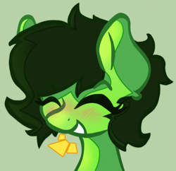 Size: 2485x2401 | Tagged: safe, artist:foxtrnal, derpibooru import, oc, oc only, oc:anon filly, pony, blushing, bust, female, filly, foal, green background, happy, high res, simple background, solo
