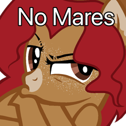 Size: 768x768 | Tagged: safe, artist:lordlyric, derpibooru import, oc, oc:maplelasso, earth pony, pony, country, female, mare, megamind, meme, no bitches?, solo, solo female